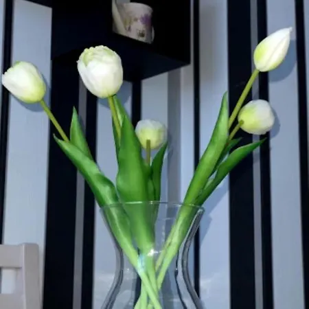 러브호텔 Feherhaz Alkalmi Szallo 페치