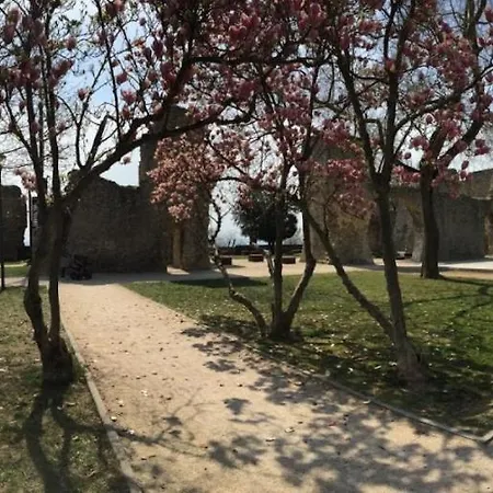 러브호텔 Feherhaz Alkalmi Szallo