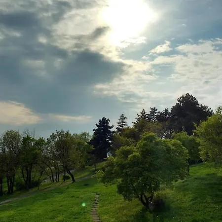 러브호텔 Feherhaz Alkalmi Szallo 페치