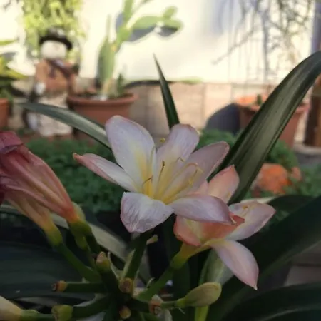 Feherhaz Alkalmi Szallo 러브호텔 페치