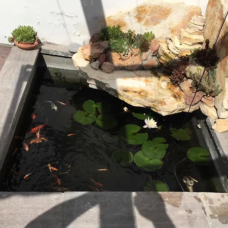 러브호텔 Feherhaz Alkalmi Szallo 2*